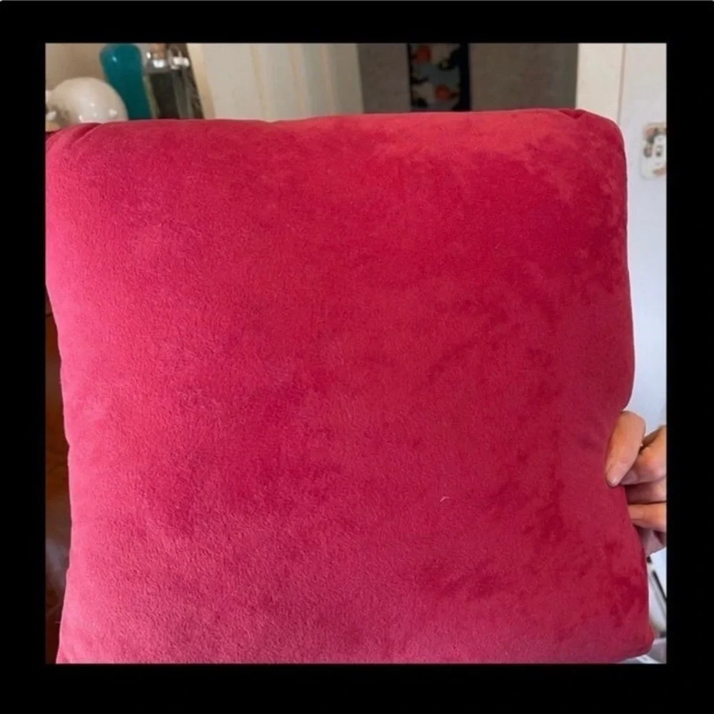 Christmas Needlepoint pillow